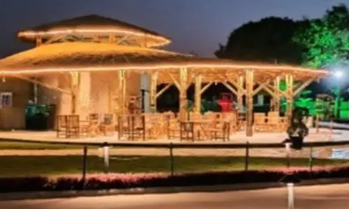 Ekta Tribal Cafe Ekta Thali