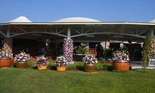 Arogya Cafe at Arogya van