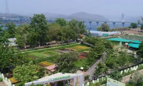 Ekta Nursery