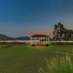 Lawn Area