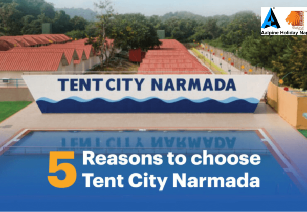 5 Reasons to choose Tent City Narmada