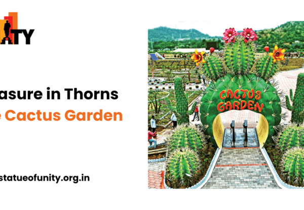 Treasure in Thorns: The Cactus Garden