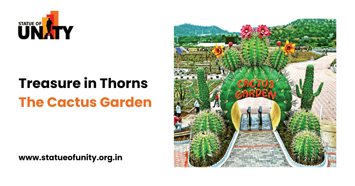 Treasure in Thorns: The Cactus Garden