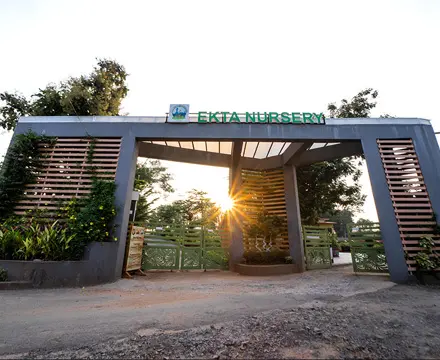 Ekta Nursery Images