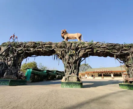 Jungle Safari Image
