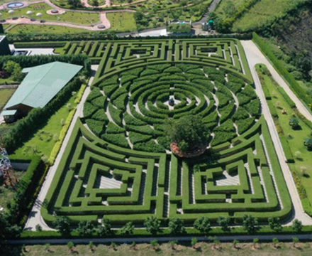 Maze Garden Images