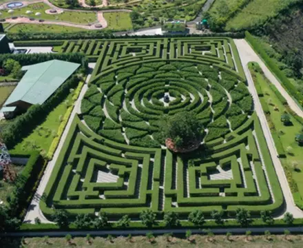 Maze Garden Images