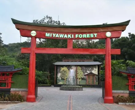 Miyawaki Forest Images