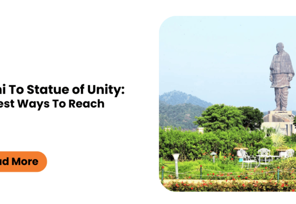 Delhi To Statue Of Unity: Best Ways To Reach