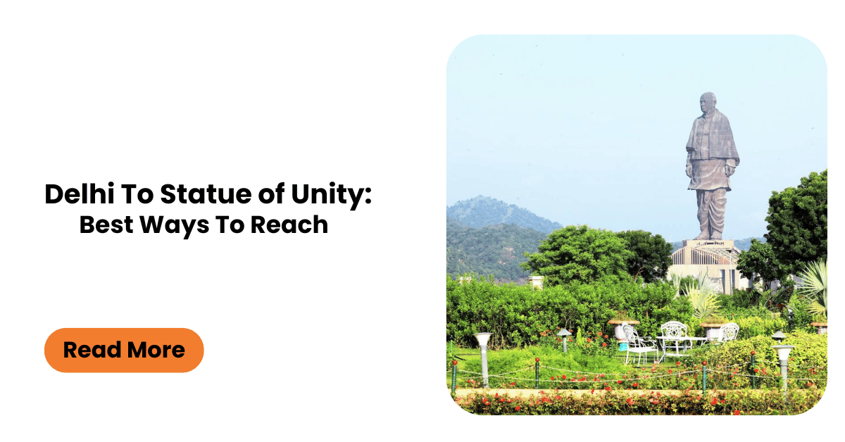 Delhi To Statue Of Unity: Best Ways To Reach