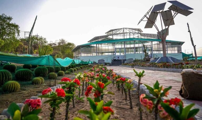 Cactus Garden, Kevadia - Timings, Entry Fee, Best time to visit