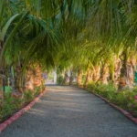 Unity Village Resort Online Booking