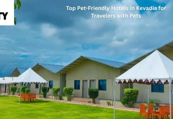 Top Pet-Friendly Hotels in Kevadia for Travelers with Pets
