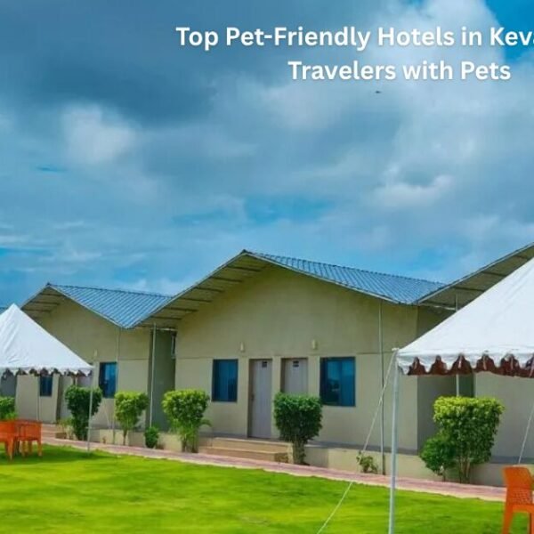 Top Pet-Friendly Hotels in Kevadia for Travelers with Pets